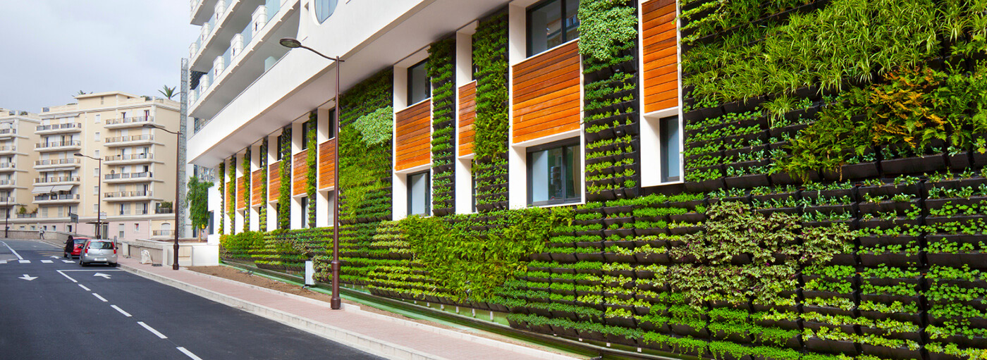 sustainability-and-the-cities