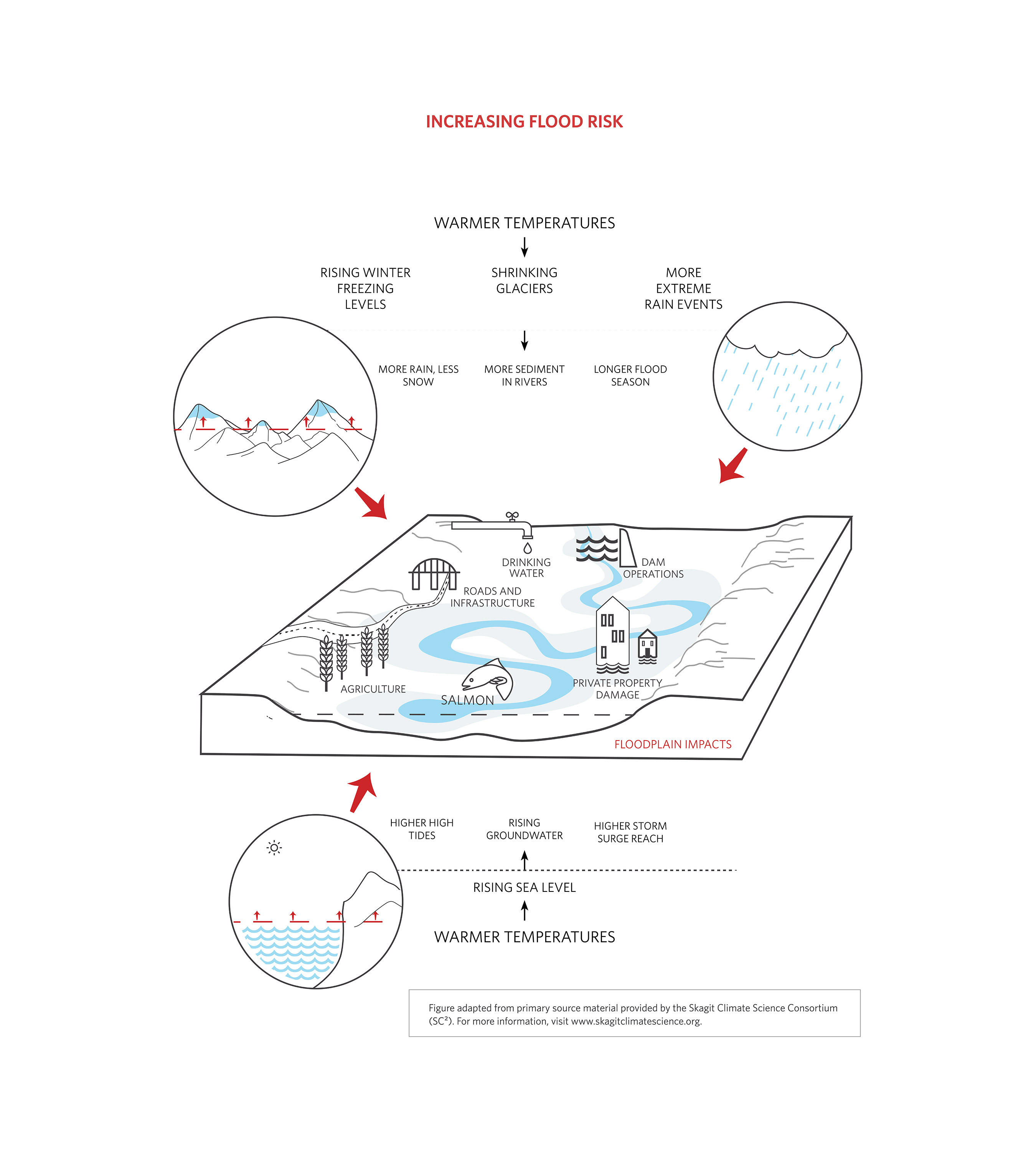 Adapting to Change Infographic